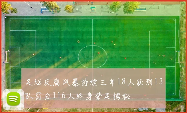 足坛反腐风暴持续三年18人获刑13队罚分116人终身禁足揭秘